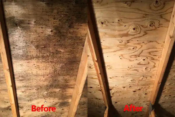 water damage restoration service Grandyle Village